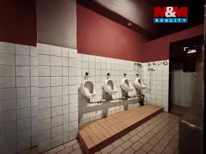 Prodej obchodního prostoru, Ratboř, 297 m2