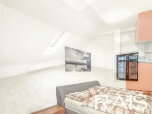 Prodej vícegeneračního domu, Hodonín, Muchova, 235 m2