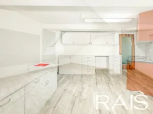 Prodej vícegeneračního domu, Hodonín, Muchova, 235 m2