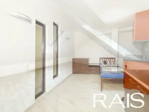 Prodej vícegeneračního domu, Hodonín, Muchova, 235 m2