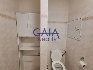 Pronájem bytu 1+kk, Prostějov, Krasická, 46 m2