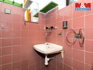 Prodej chalupy, Slavíkov - Dlouhý, 90 m2