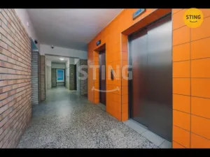 Pronájem bytu 1+1, Pardubice, Družby, 39 m2