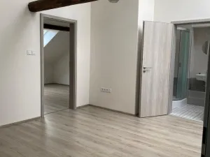 Pronájem bytu 2+kk, Plzeň - Východní Předměstí, Slovanská, 44 m2