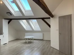 Pronájem bytu 2+kk, Plzeň - Východní Předměstí, Slovanská, 59 m2