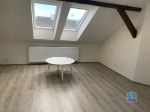 Pronájem bytu 2+kk, Plzeň - Východní Předměstí, Slovanská, 59 m2