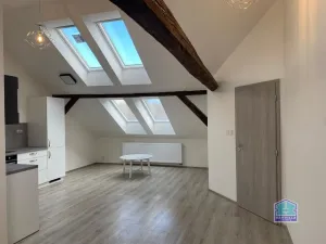 Pronájem bytu 2+kk, Plzeň - Východní Předměstí, Slovanská, 59 m2