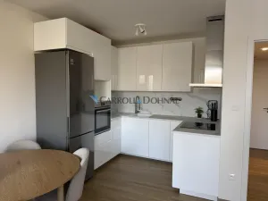 Pronájem bytu 2+kk, Ostrava - Slezská Ostrava, U Hájenky, 56 m2