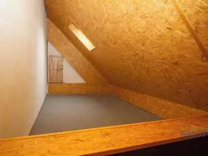 Pronájem atypického bytu, Praha - Nusle, Družnosti, 42 m2