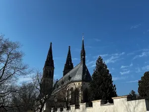 Prodej - jiné, Praha - Vyšehrad, Štulcova, 4 m2