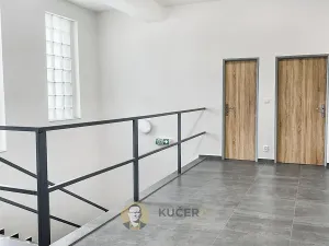 Prodej výrobních prostor, Kostelec nad Labem, Neratovická, 3457 m2