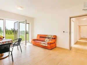 Pronájem rodinného domu, Šanov, Lesní, 81 m2