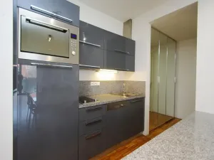 Pronájem bytu 2+kk, Praha - Žižkov, Prokopova, 58 m2