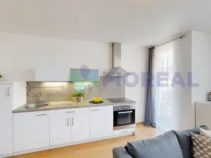 Pronájem bytu 1+kk, Praha - Žižkov, Rečkova, 32 m2