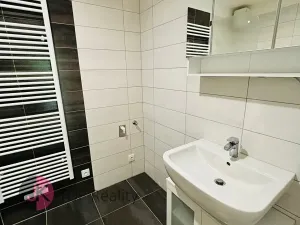 Pronájem bytu 2+kk, Velké Popovice, V parku, 59 m2