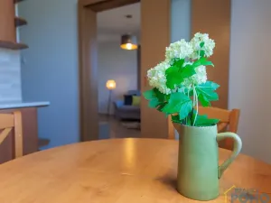 Prodej bytu 2+1, Vysoké Mýto, V Peklovcích, 59 m2