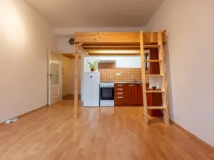 Pronájem bytu 1+kk, Praha - Žižkov, Sudoměřská, 28 m2