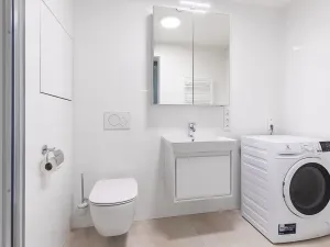 Pronájem bytu 1+kk, Brno - Veveří, Lidická, 52 m2