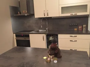 Pronájem bytu 2+kk, Liberec - Liberec I-Staré Město, Gorkého, 73 m2