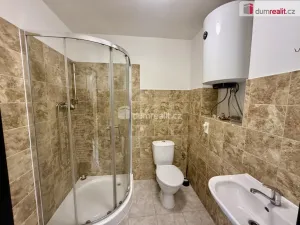 Pronájem bytu 2+kk, Ústí nad Labem, Purkyňova, 38 m2