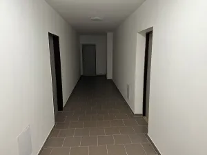 Prodej bytu 1+kk, Mikulovice, 25 m2