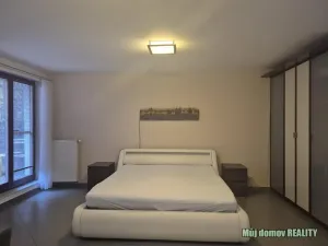 Pronájem bytu 1+kk, Brno - Zábrdovice, Francouzská, 60 m2