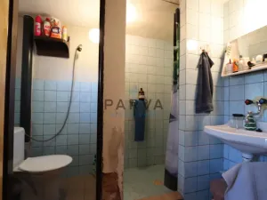 Prodej rodinného domu, Lužany - Dlouhá Louka, 150 m2