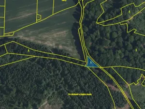 Prodej lesa, Volfířov - Brandlín, 406 m2