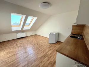 Pronájem bytu 1+kk, Brno, Vlhká, 31 m2