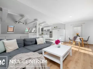 Pronájem bytu 2+kk, Liberec, Chrastavská, 89 m2