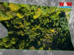 Prodej lesa, Lomnice, 7450 m2