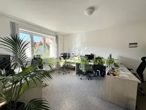 Pronájem komerční nemovitosti, Zlín, Ševcovská, 110 m2