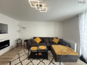 Prodej bytu 2+1, Meziboří, Okružní, 58 m2