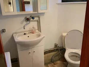 Prodej chaty, Malíč, Knobloška, 41 m2