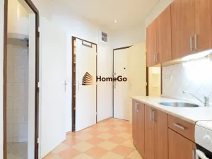 Pronájem bytu 1+kk, Praha - Nusle, U gymnázia, 47 m2