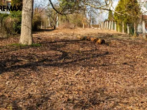 Prodej pozemku pro bydlení, Řícmanice, 1209 m2