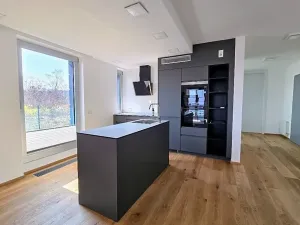 Prodej bytu 3+kk, Praha - Smíchov, U Dívčích hradů, 123 m2