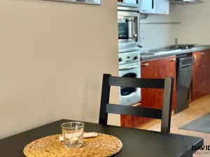 Pronájem bytu 1+kk, Brno - Veveří, Gorkého, 61 m2