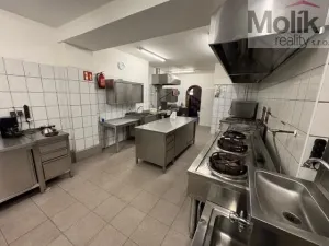 Prodej ubytování, Neuhausen/Erzgebirge, Deutschgeorgenthal, 1753 m2