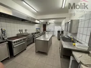 Prodej ubytování, Neuhausen/Erzgebirge, Deutschgeorgenthal, 1753 m2