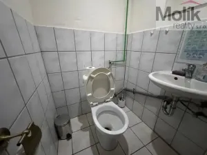 Prodej ubytování, Neuhausen/Erzgebirge, Deutschgeorgenthal, 1753 m2