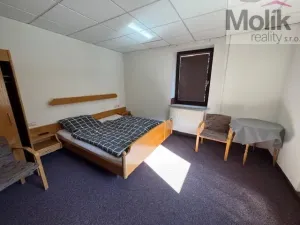 Prodej ubytování, Neuhausen/Erzgebirge, Deutschgeorgenthal, 1753 m2