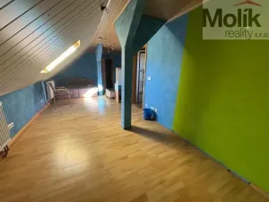 Prodej ubytování, Neuhausen/Erzgebirge, Deutschgeorgenthal, 1753 m2