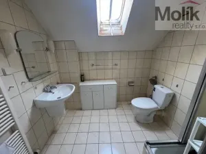 Prodej ubytování, Neuhausen/Erzgebirge, Deutschgeorgenthal, 1753 m2