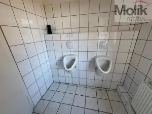 Prodej ubytování, Neuhausen/Erzgebirge, Deutschgeorgenthal, 1753 m2