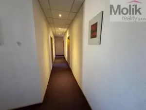 Prodej ubytování, Neuhausen/Erzgebirge, Deutschgeorgenthal, 1753 m2