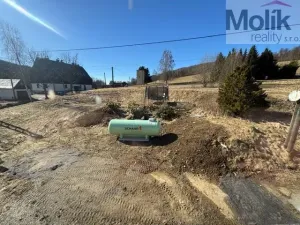 Prodej ubytování, Neuhausen/Erzgebirge, Deutschgeorgenthal, 1753 m2