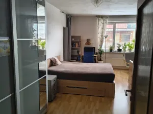 Pronájem bytu 1+kk, Brno, U Leskavy, 47 m2