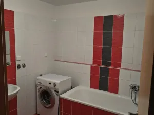 Pronájem bytu 1+kk, Brno, U Leskavy, 47 m2