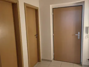 Pronájem bytu 1+kk, Brno, U Leskavy, 47 m2